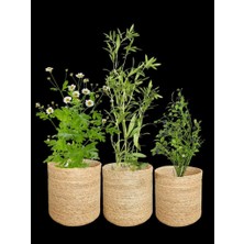 Evim Tatlı Evim Naturale Büyük 3'lü Hasır Saksı Içi Naylon Korumalı