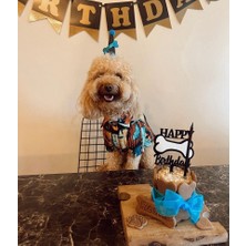 Patisserie Store Köpekler Için Doğum Günü Seti- Happy Kit- Doğum Günü Pastası, Kemik Tasarımlı Süs, Doğum Günü Şapka