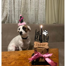 Patisserie Store Köpekler Için Doğum Günü Seti-Pawty Kit- Doğum Günü Pastası, Tasarım Pasta Süsü, Doğum Günü Şapkası