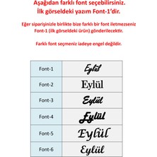Jewelmim Eylül Gümüş İsimli Kolye 18 Ayar Beyaz Altın Kaplama Kişiye Özel İsim Yazılı 925 Ayar Kadın Gümüş İsimli Kolye Bayan İsimli Kolye Kişiye Özel İsim Kolye İsim Kolyesi