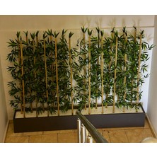 Botanik Bahçesi Yapay Bambu Seperatör Bamboo Ağaç 1.50 Metre Boy 2 Adet Ahşap Antrasit Gri Saksıda Iç Mekan Ağacı