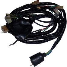 Mondial Asya 150T Uyumlu 1 Royal Elektrik Tesisatı - Erpilsan