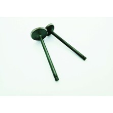 Mondial Honda Pcx 150 Dylan Uyumlu Sibop