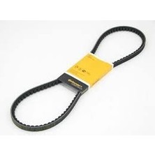 V Kayısı  [10X960]