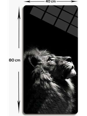 Decorita Cam Tablo | Modern Art Serisi | Black-White Lion | 3'lü Takım | 40CM x 80CM