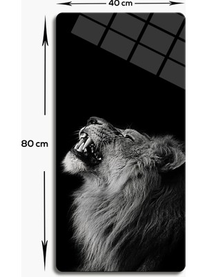 Decorita Cam Tablo | Modern Art Serisi | Black-White Lion | 3'lü Takım | 40CM x 80CM