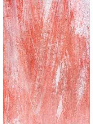 Colorix Carpet Dijital Baskı Dekoratif Kaymaz Taban Yıkanabilir Halı