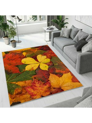 Colorix Carpet Dijital Baskı Dekoratif Kaymaz Taban Yıkanabilir Halı