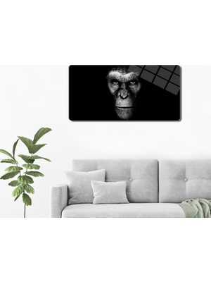 Decorita Cam Tablo | Modern Art Serisi | Dark Monkey | 40CM x 80CM