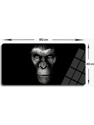 Decorita Cam Tablo | Modern Art Serisi | Dark Monkey | 40CM x 80CM