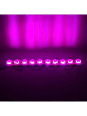 Go İthalat Pembe Modül LED 48*30 2835 24 Volt 1.4 Watt (2818)