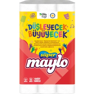 Süper Maylo Tegv Kağıt Havlu 12'li