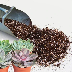 Kaktüs Toprağı Profesyonel Kaktüs Lithops ve Sukkulent Bitkiler Için Karışım -  2 Litre