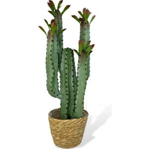 Yapay Çiçek Kaktüs Ağacı 4kollu Kızıl Yapraklı Hasır Saksıda 70*22CM 4027HSR