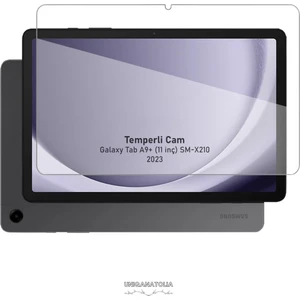 Samsung Galaxy Tab A9 + Plus 11 Inç Uyumlu Temperli Kırılmaz Ekran Koruyucu X210