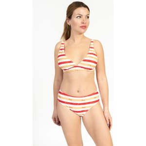 Kadın 703 Minimiser Çizgili Bikini Takımı Kırmızı