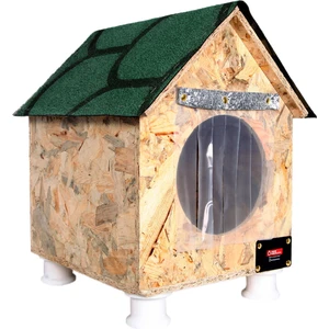Kedi Evi Kedi Yuvası