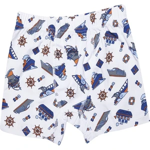 1013x12 Erkek Çocuk 12'li Likralı Karışık Desen Boxer-Renkli