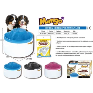 Kedi Köpek Su Şelalesi