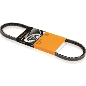 V Kayısı  [10X965]