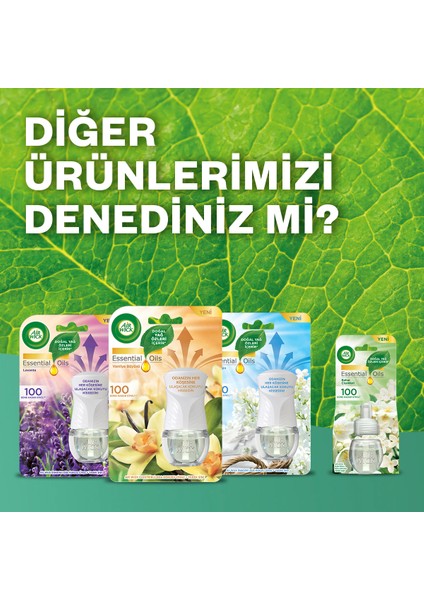 Air Wick Elektrikli Kit Oda Kokusu Vanilya ( 1 Adet Cihaz + 1 Adet Yedek Şişe )