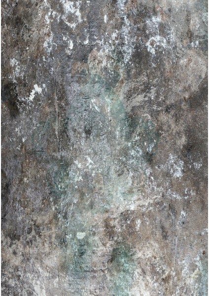 Dijital Baskı Dekoratif Kaymaz Taban Yıkanabilir Halı NO:1010 fiyatları