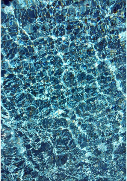 Dijital Baskı Dekoratif Kaymaz Taban Yıkanabilir Halı NO:1580 fiyatları