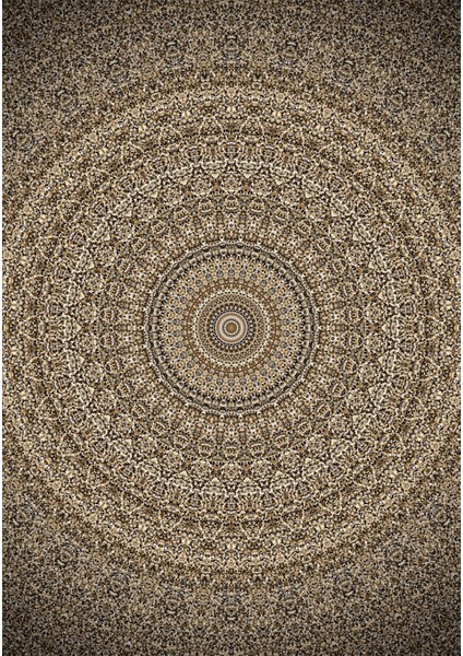 Dijital Baskı Dekoratif Kaymaz Taban Yıkanabilir Halı NO:1211 fiyatları