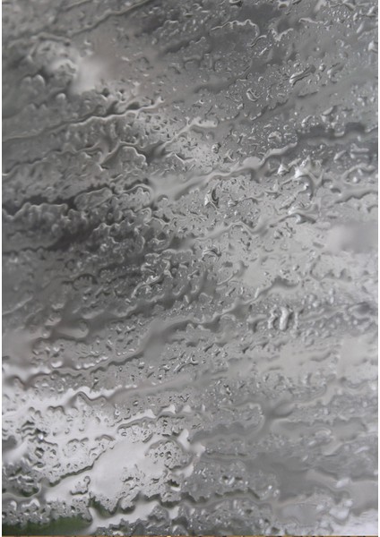 Dijital Baskı Dekoratif Kaymaz Taban Yıkanabilir Halı NO:1666 fiyatları