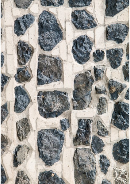 Dijital Baskı Dekoratif Kaymaz Taban Yıkanabilir Halı NO:1264 fiyatları