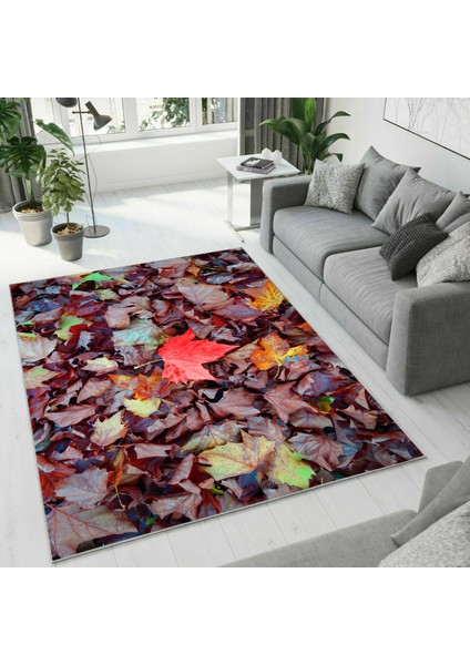 Dijital Baskı Dekoratif Kaymaz Taban Yıkanabilir Halı
