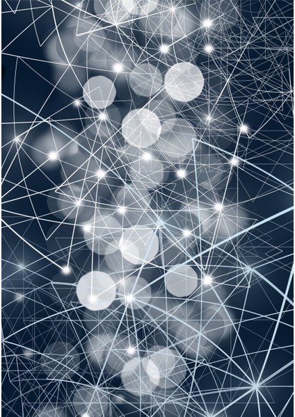 Dijital Baskı Dekoratif Kaymaz Taban Yıkanabilir Halı NO:1751 fiyatları