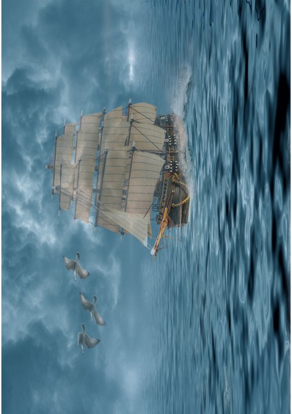 Dijital Baskı Dekoratif Kaymaz Taban Yıkanabilir Halı NO:1469 fiyatları