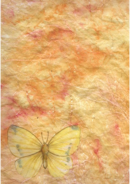 Dijital Baskı Dekoratif Kaymaz Taban Yıkanabilir Halı fiyatları