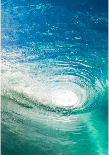 Dijital Baskı Dekoratif Kaymaz Taban Yıkanabilir Halı fiyatları