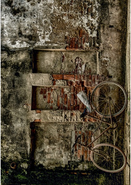 Dijital Baskı Dekoratif Kaymaz Taban Yıkanabilir Halı fiyatları