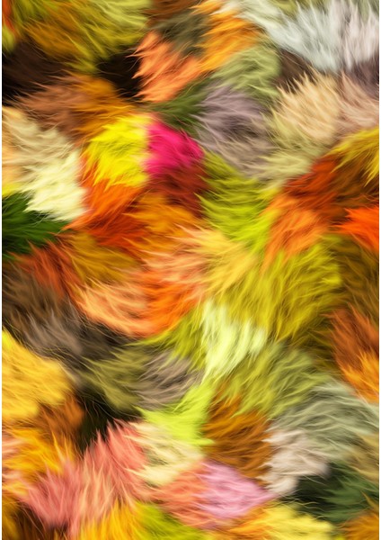 Dijital Baskı Dekoratif Kaymaz Taban Yıkanabilir Halı fiyatları