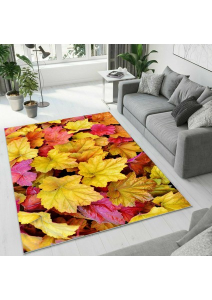 Dijital Baskı Dekoratif Kaymaz Taban Yıkanabilir Halı