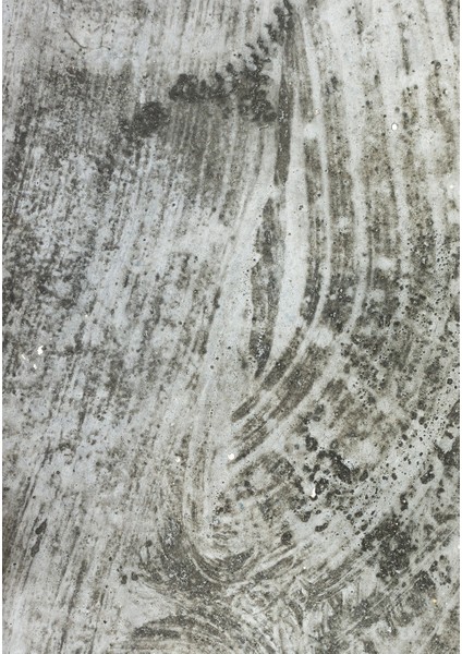 Dijital Baskı Dekoratif Kaymaz Taban Yıkanabilir Halı fiyatları