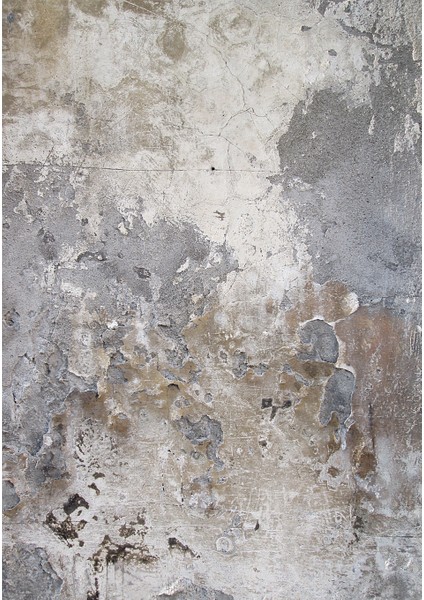 Dijital Baskı Dekoratif Kaymaz Taban Yıkanabilir Halı fiyatları