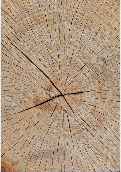 Dijital Baskı Dekoratif Kaymaz Taban Yıkanabilir Halı fiyatları