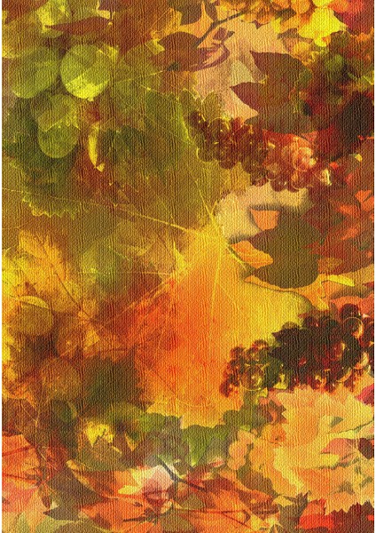 Dijital Baskı Dekoratif Kaymaz Taban Yıkanabilir Halı fiyatları