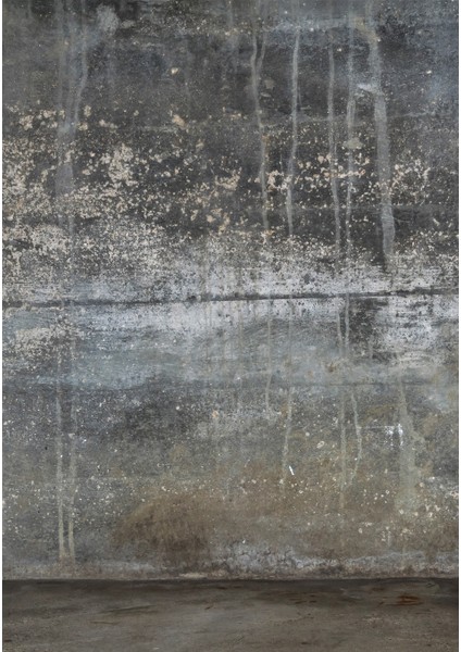 Dijital Baskı Dekoratif Kaymaz Taban Yıkanabilir Halı fiyatları