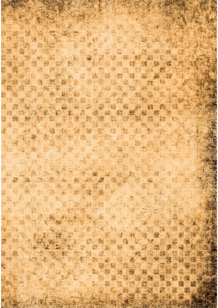 Dijital Baskı Dekoratif Kaymaz Taban Yıkanabilir Halı fiyatları