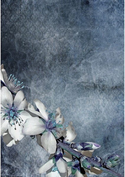 Dijital Baskı Dekoratif Kaymaz Taban Yıkanabilir Halı fiyatları