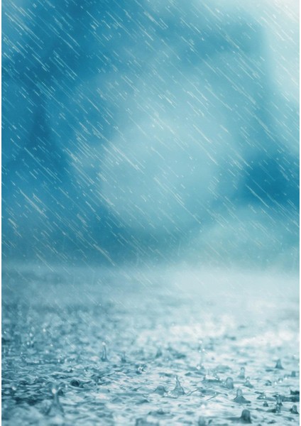 Dijital Baskı Dekoratif Kaymaz Taban Yıkanabilir Halı fiyatları