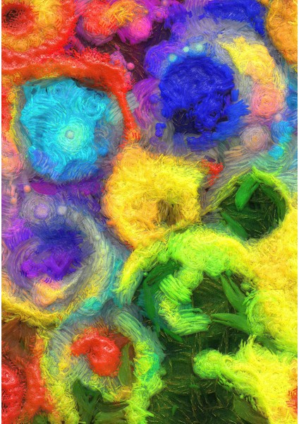 Dijital Baskı Dekoratif Kaymaz Taban Yıkanabilir Halı fiyatları