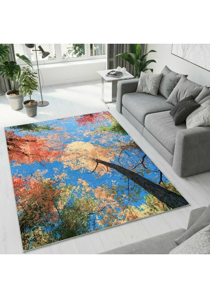 Dijital Baskı Dekoratif Kaymaz Taban Yıkanabilir Halı