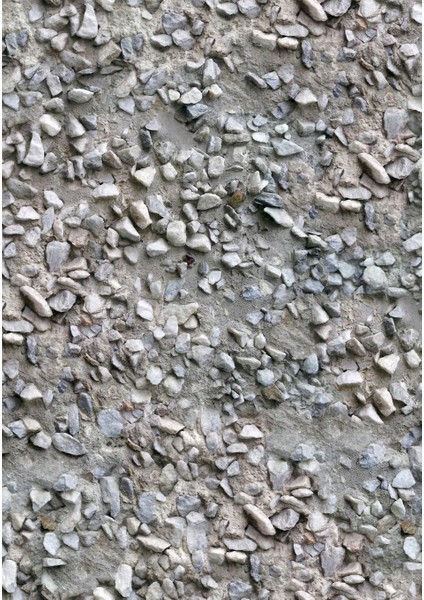 Dijital Baskı Dekoratif Kaymaz Taban Yıkanabilir Halı fiyatları