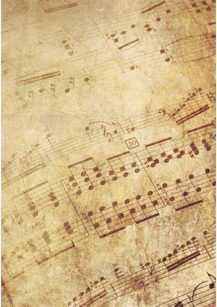 Dijital Baskı Dekoratif Kaymaz Taban Yıkanabilir Halı fiyatları